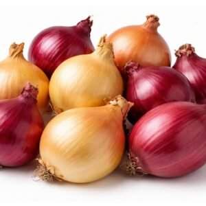 Oignon