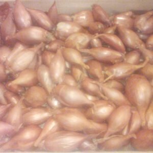 Échalote
