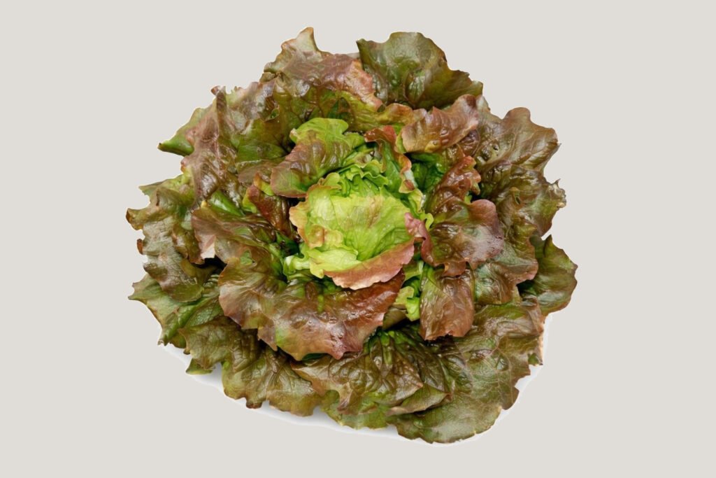 Salade