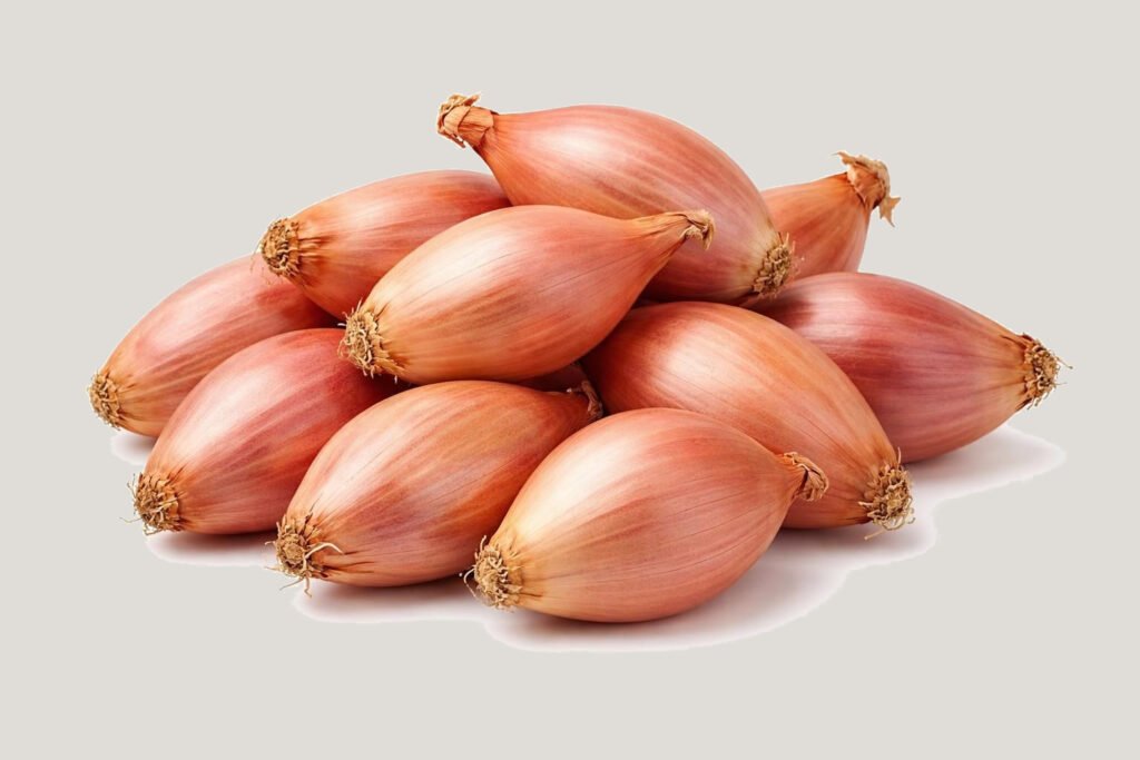 Échalote