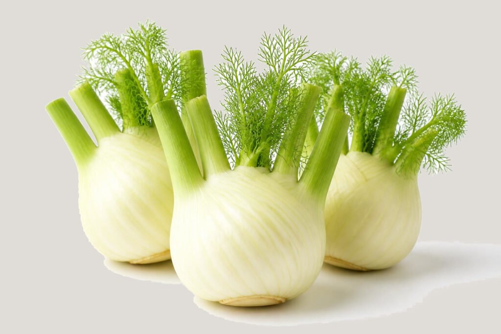 Fenouil