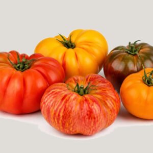 Tomate