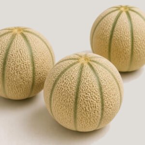 Melon